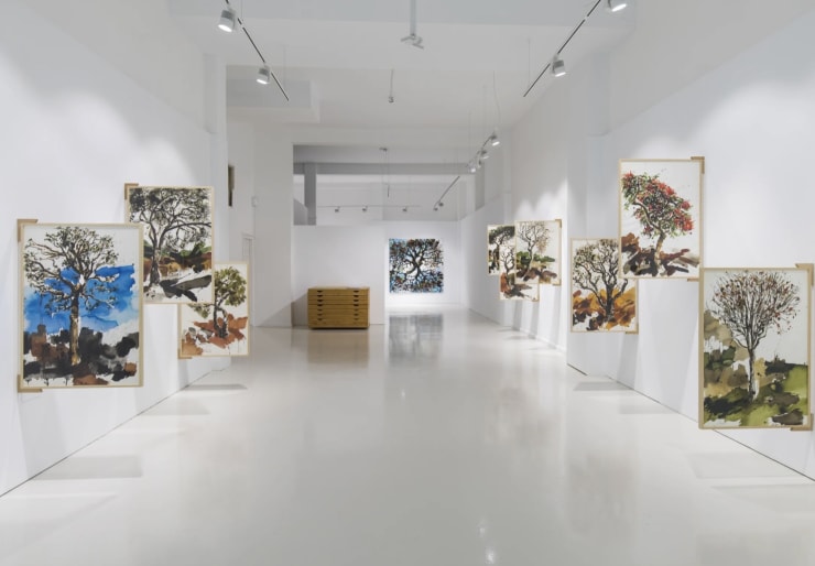 Juan Pedro Ayala, Vertical