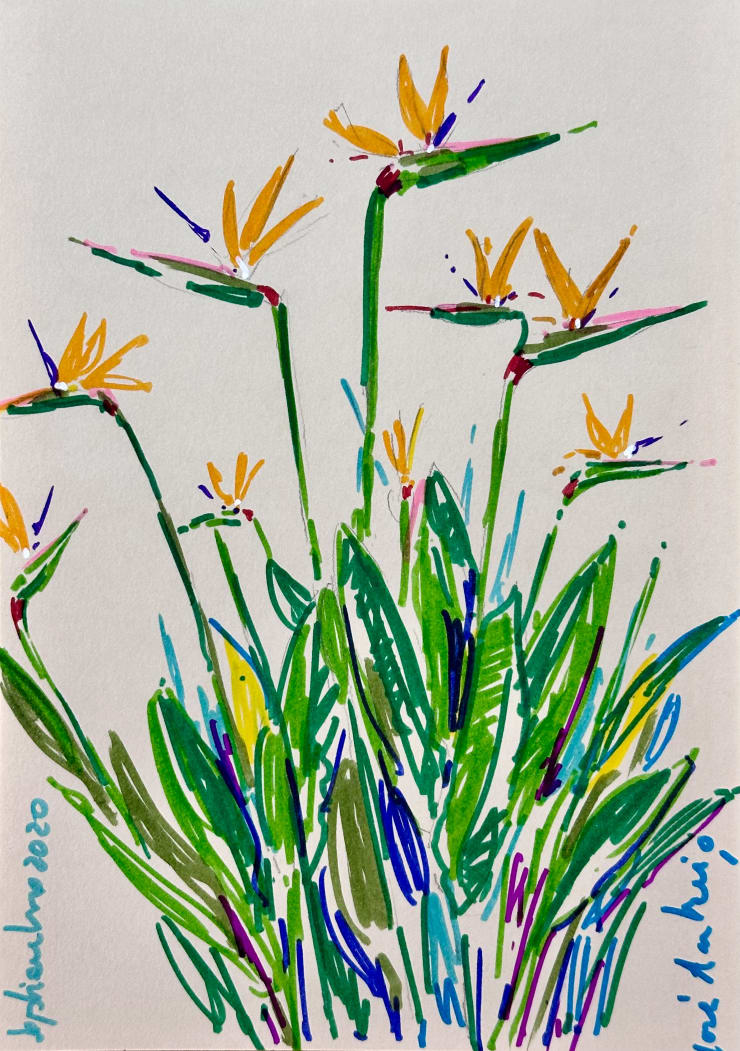 José Antonio Zárate, #3 (Series 'Jardín')