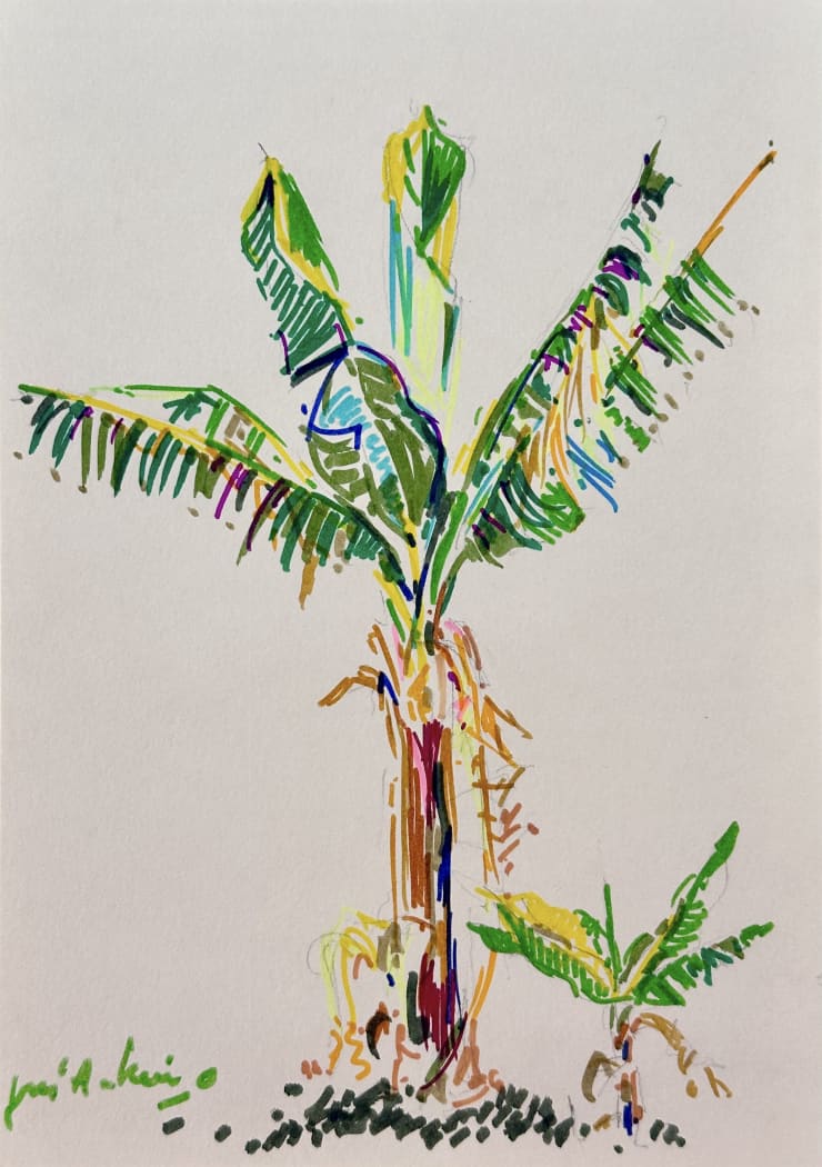 José Antonio Zárate, #4 (Series 'Jardín')