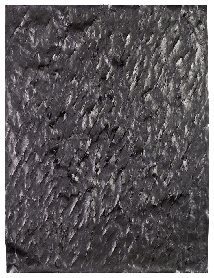 Untitled 00911, 2009