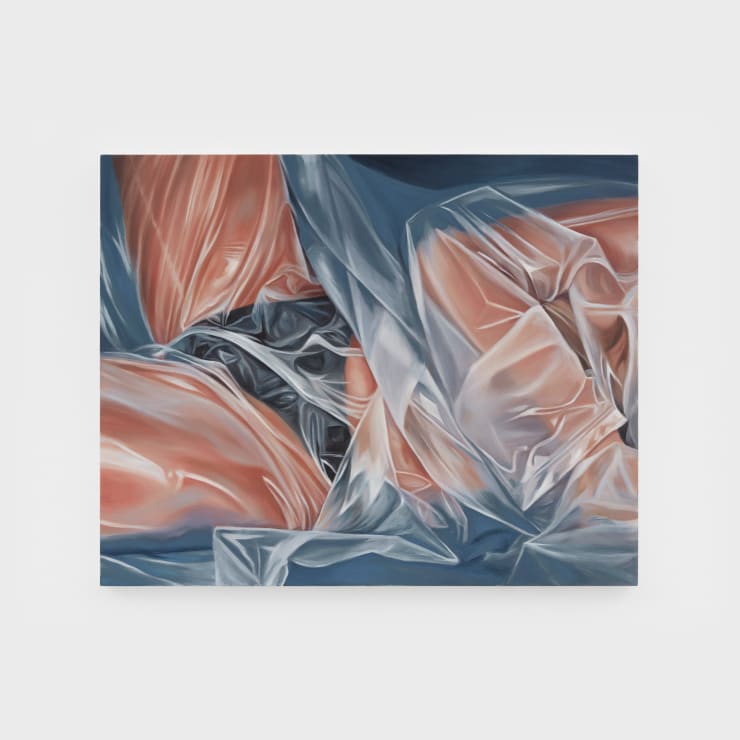 Brittany Shepherd: Sub Rosa