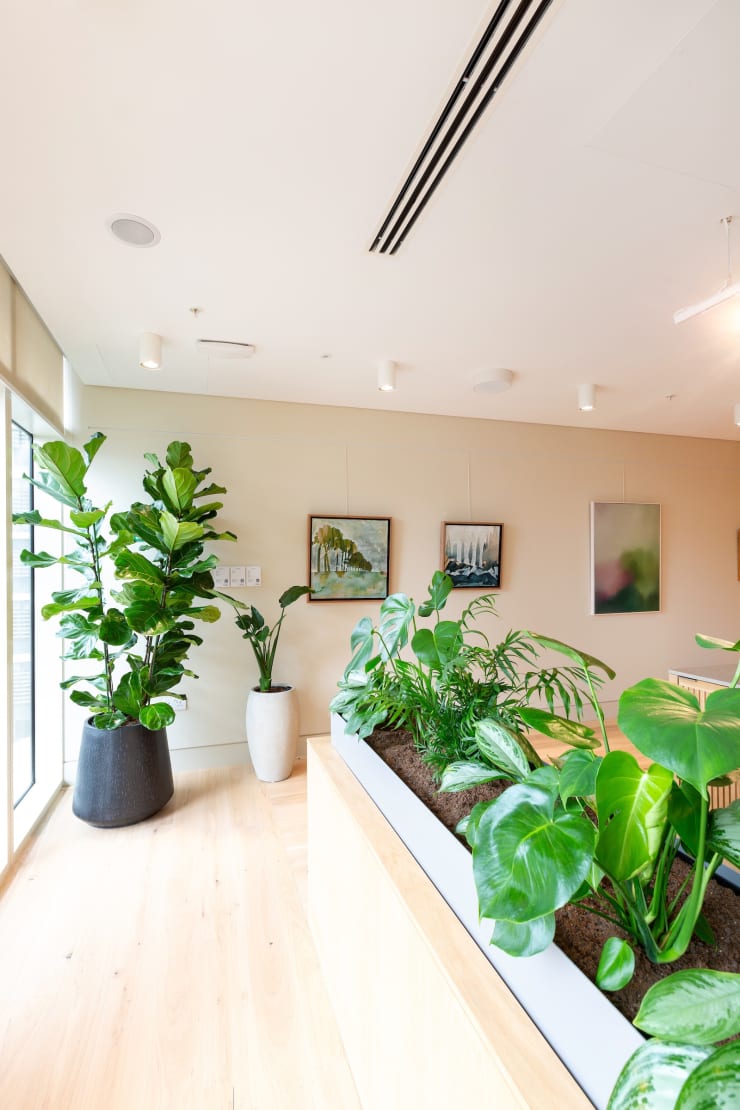 Image courtesy of Demelza Lightfoot Photography