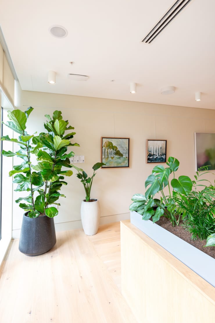 Image courtesy of Demelza Lightfoot Photography