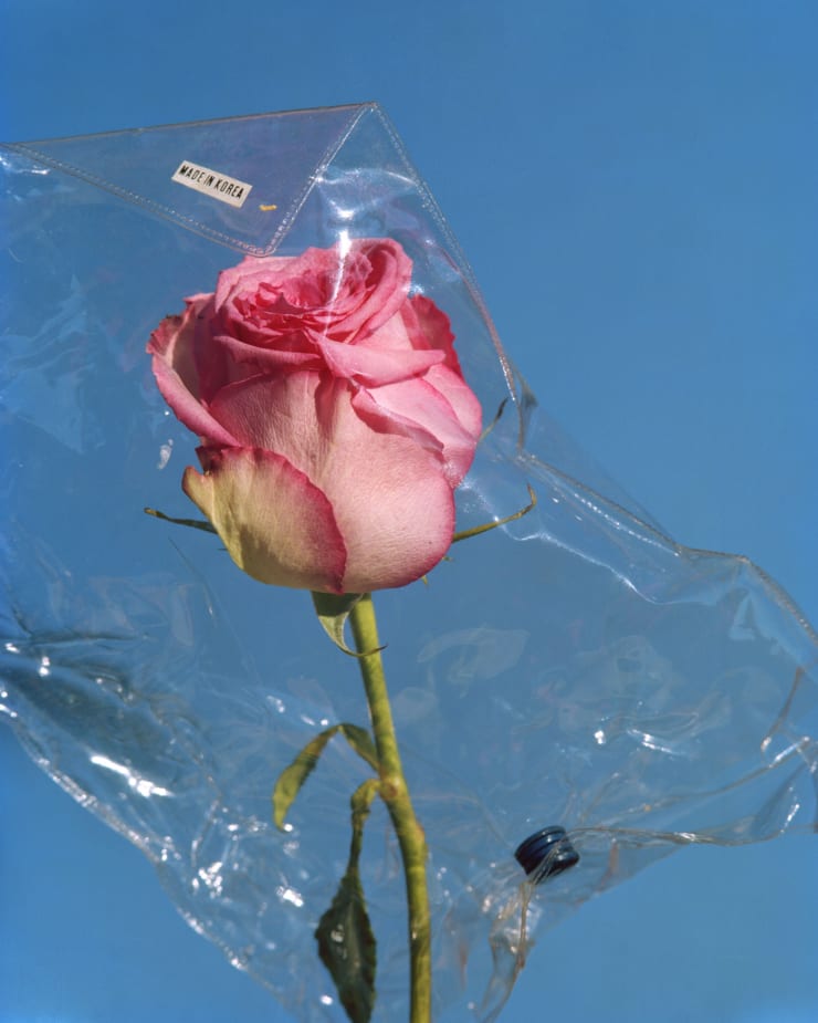 Future Planet Exhibition - Myo 123 Victoria Street, London Barbara Nati, Casey Moore, Federico Pestilli, Freya Hollingbery, George Digalakis, Jasper Goodall, Josh Gluckstein, Rachna Garodia, Steve McPherson and Yasmin Crawford