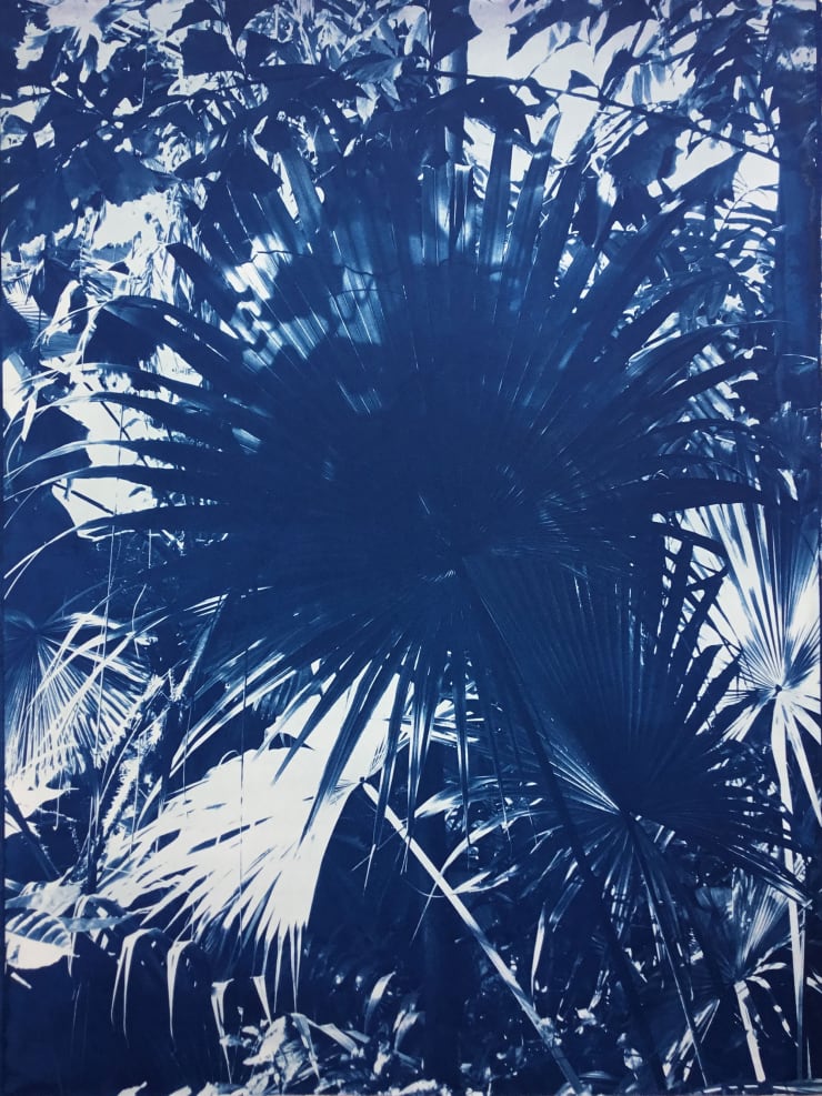 MARIANNE NIX, Indigo Jungle, 2018