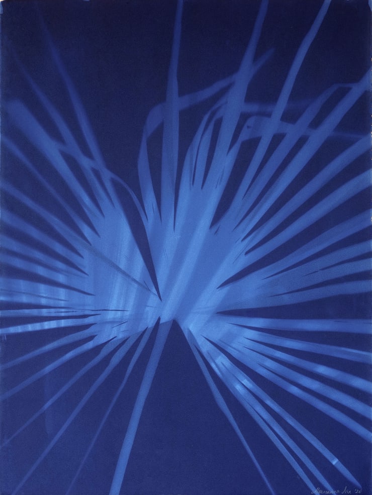 Alternative Photographic Cyanotype of Palm Leaf. Deep blue artwork by Marianne Nix