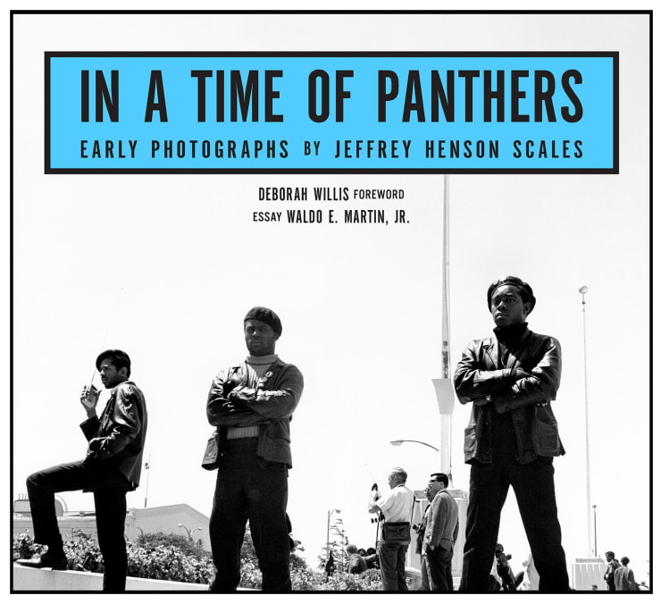 In A Time Of Panthers