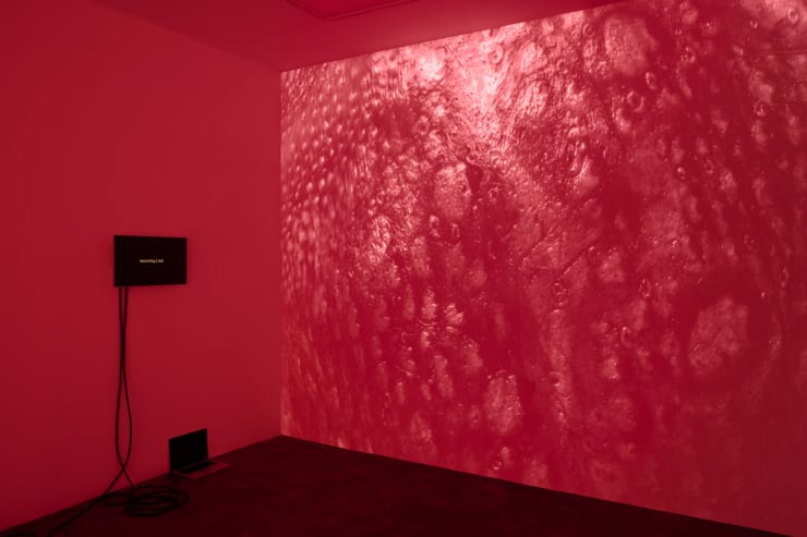 Federico Pérez Villoro Here Are Dragons, 2019 Video 1" looped