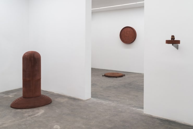 Installation Piedras Vivas 2