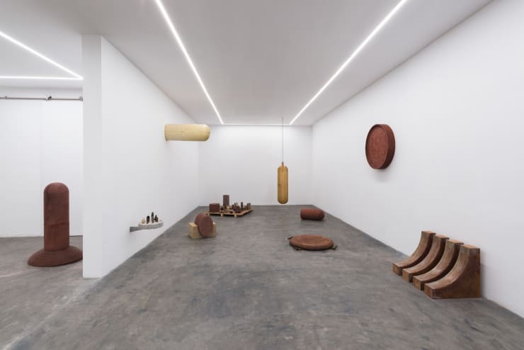 Installation Piedras Vivas 3