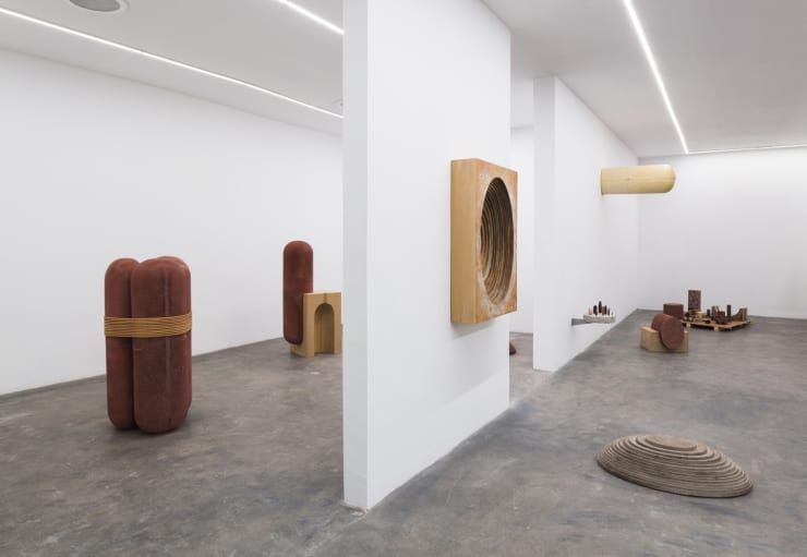 Installation Piedras Vivas