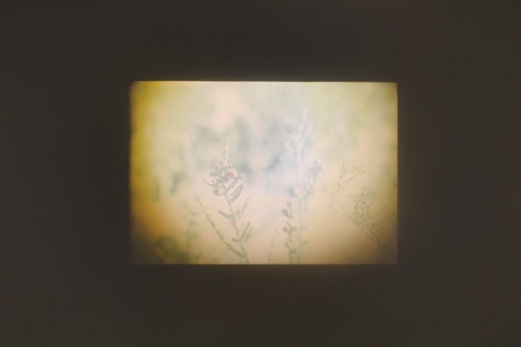 Sol Oosel Projector I, 2023 Optical glass, plastic, steel, aluminum, electrostatic paint, focus and slide 22 x 12 x 9 cm (8.66 x 4.72 x 3.54 in) Projector 48 x 32 cm (18.90 x 12.60 in) Projections