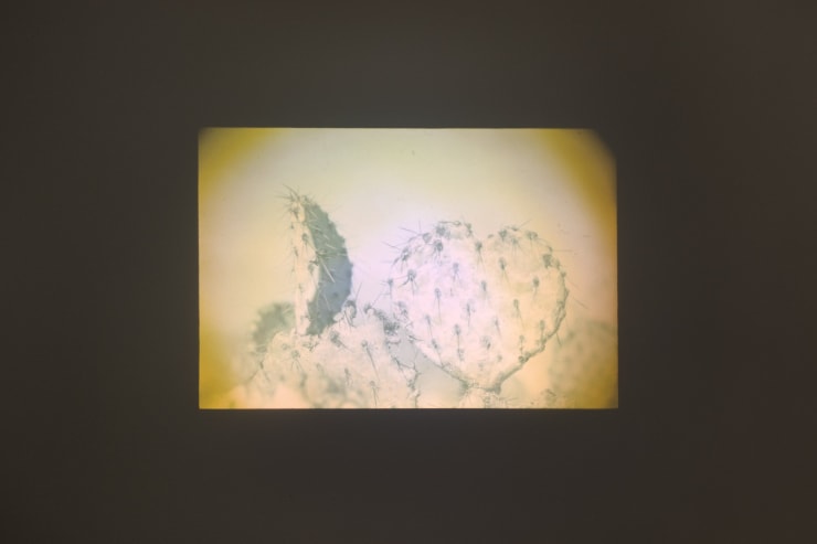 Sol Oosel Projector II, 2023 Optical glass, plastic, steel, aluminum, electrostatic paint, focus and slide 22 x 12 x 9 cm (8.66 x 4.72 x 3.54 in) Projector 48 x 32 cm x 9 cm (18.90 x 12.60 x 3.54 in) Projections