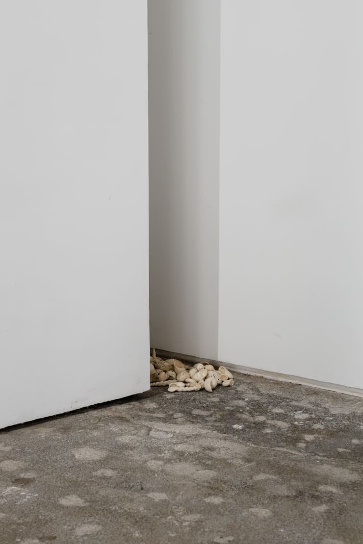 Installation View Aguas Verdaderas Fpv Peana 2024 1