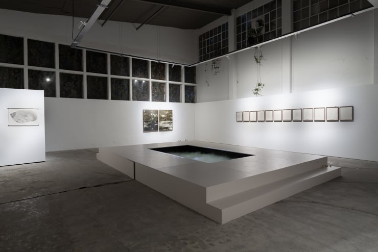 Installation View Aguas Verdaderas Fpv Peana 2024 2