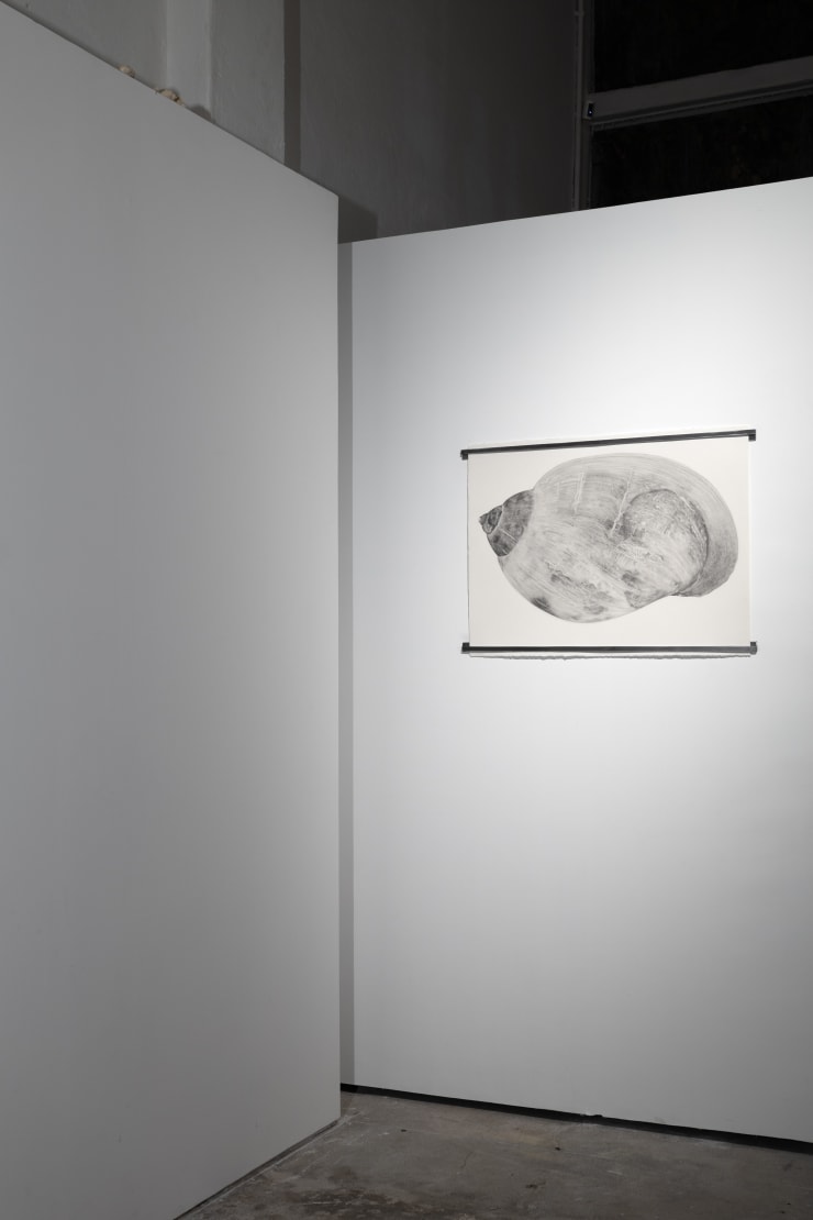 Installation View Aguas Verdaderas Fpv Peana 2024 3