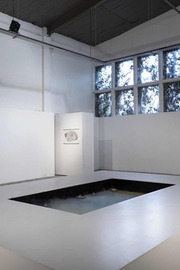 Installation View Aguas Verdaderas Fpv Peana 2024 4