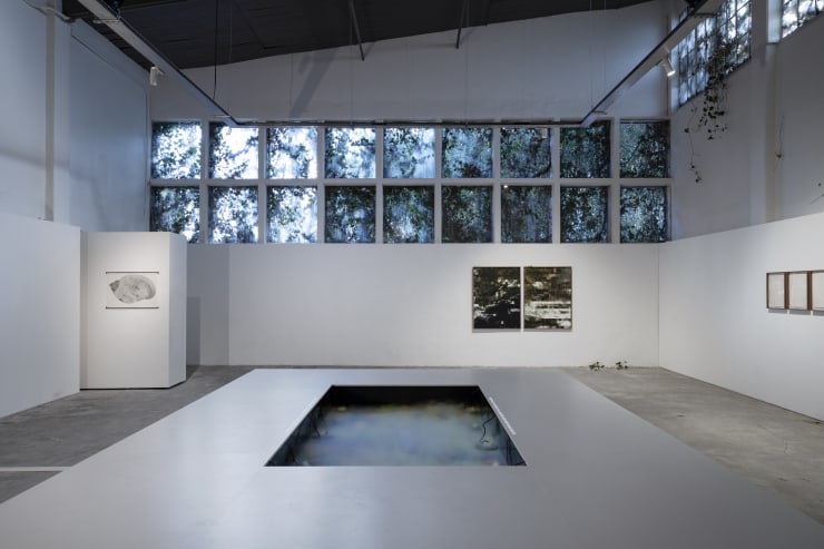 Installation View Aguas Verdaderas Fpv Peana 2024 5