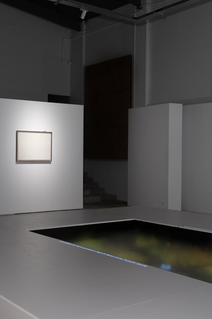 Installation View Aguas Verdaderas Fpv Peana 2024 6