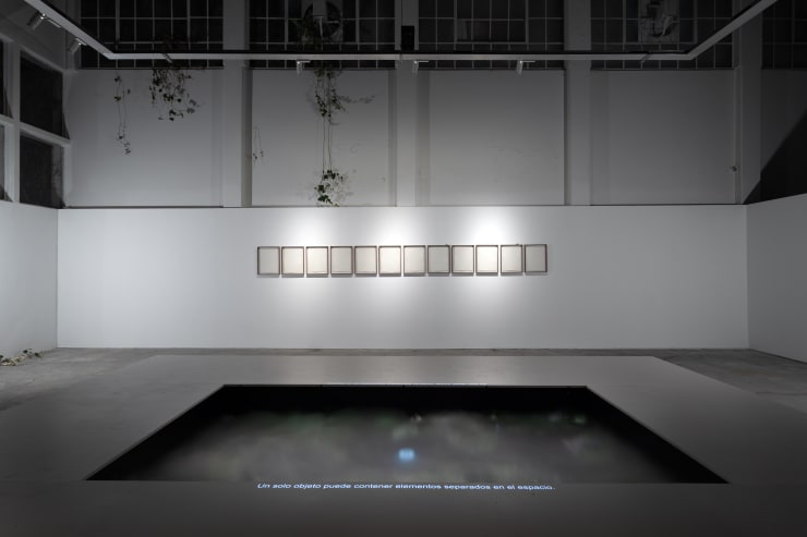 Installation View Aguas Verdaderas Fpv Peana 2024 7