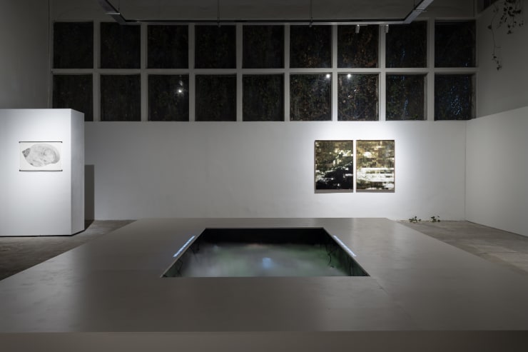 Installation View Aguas Verdaderas Fpv Peana 2024