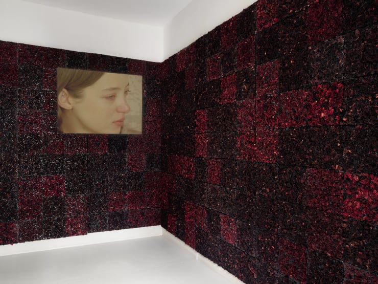 El Desierto De Ella Installation View 6