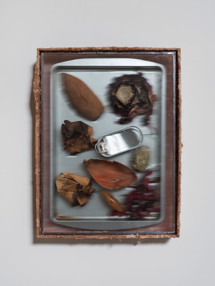 Manuela de Laborde Charola de recuerdos, 2025 Acrylic, salt, stainless steel, acetate, paper, coffee, hibiscus flower, mamey crust and bone, prickly pear, purple cabbage 5.9 x 40.6 x 30.6 cm (2.3 x 15.9 x 12 in)