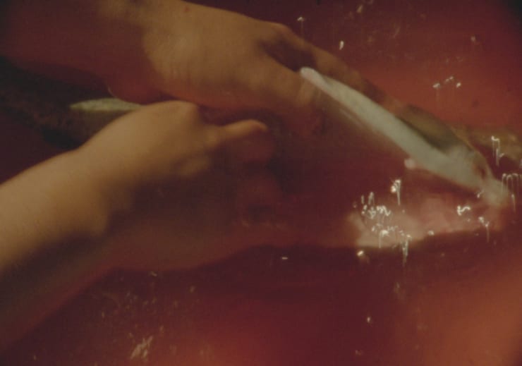 Manuela de Laborde El Molino, 2025 Projection captured in 16mm to ProRes 422 HQ. Color. Silent. 1' 09" Variable dimensions Ed. of 5 + 1 AP