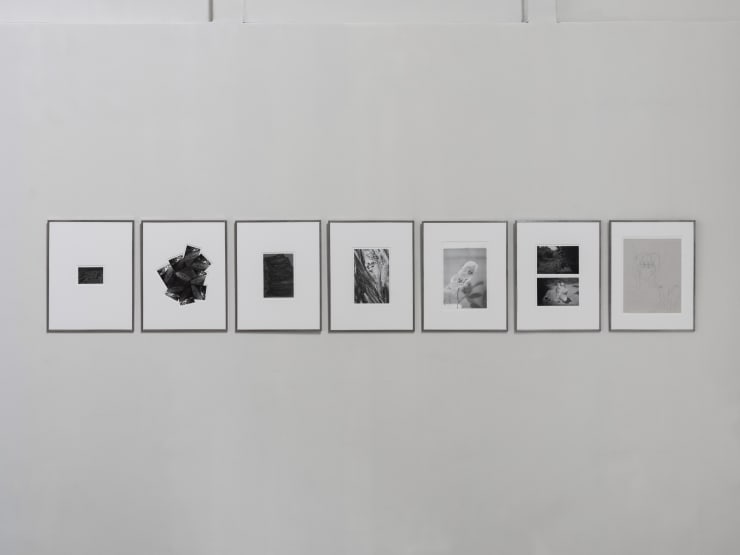 Manuela de Laborde Primera parte - Alicia 15 photograph compositions and pencil drawings on paper 40 x 31 x 1 cm ea (15.7 x 12.2 x 0.4 in) Ed. of 1 + 2 AP