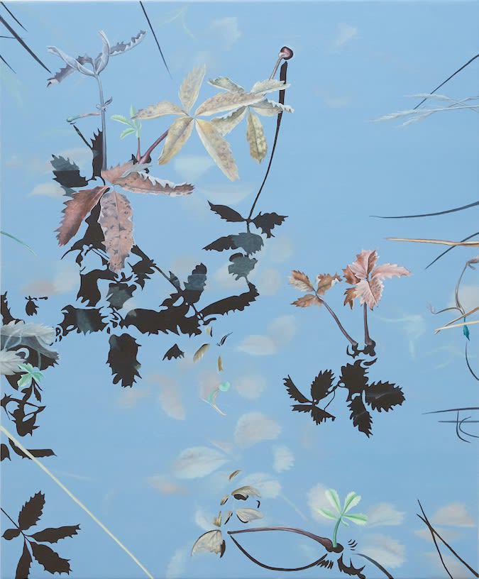 Mýri 6, 2018 olía á striga / oil on canvas 115 x 95 cm