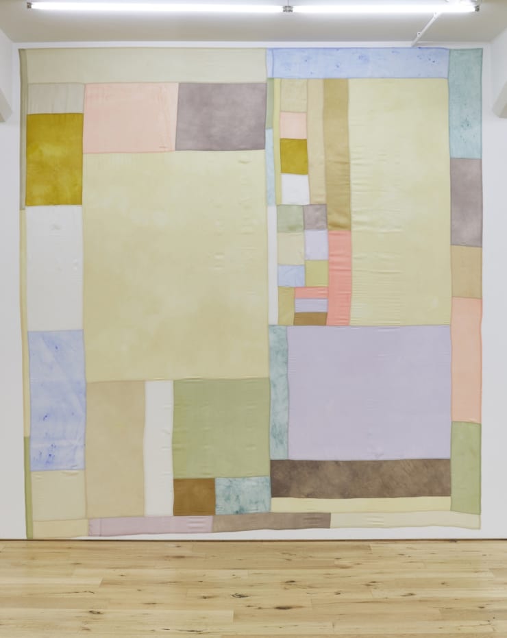 eðlislægt innihald og samhengi / inherent content and context, 2016 jurtalitur, akrýllitur, silki / plant dye, acrylic paint, silk 271 x 250 cm