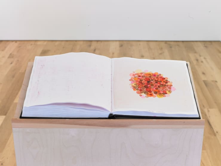 Guðjón Ketilsson Húðmein - Bókverk, 2004 vatnslitir á pappír Húðmein - Bókverk, 2004 watercolor on paper 30 x 42 cm GUK0125