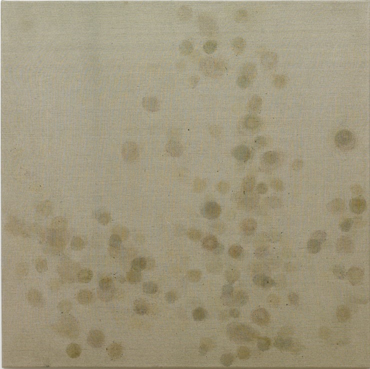 Harpa Árnadóttir Smárablóm, 2013 lím og kalkþörungaduft teiknað með jurtum á striga Smárablóm, 2013 glue, pigment and algae powder drawn with flowers on canvas 80 x 80 cm HAÁ0059