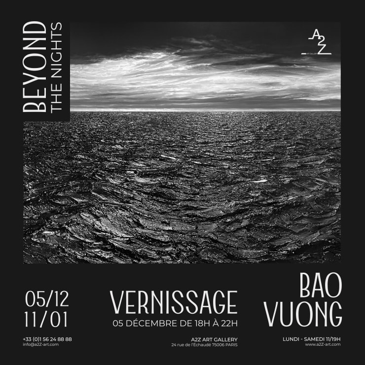 Bao Vuong Beyond the nights