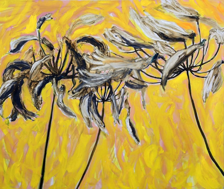 GAËL DAVRINCHE Primitive Heritage