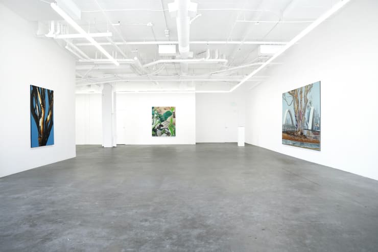 Photo May 14 2025 5 25 32 Pm 3