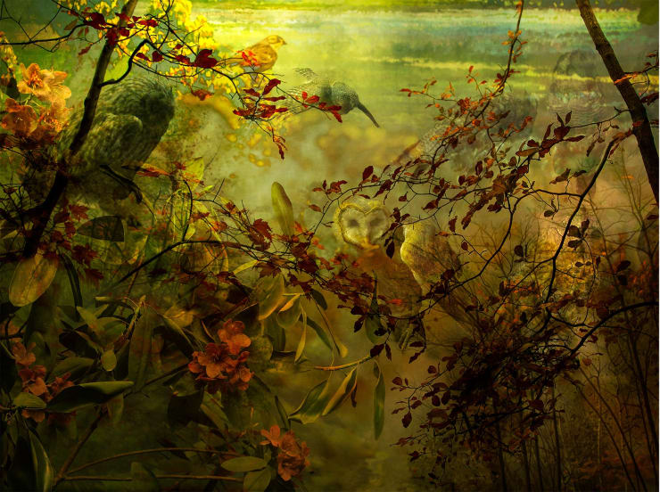 TASHA OSTRANDER, Plains of Apparition_The Owls, 2014