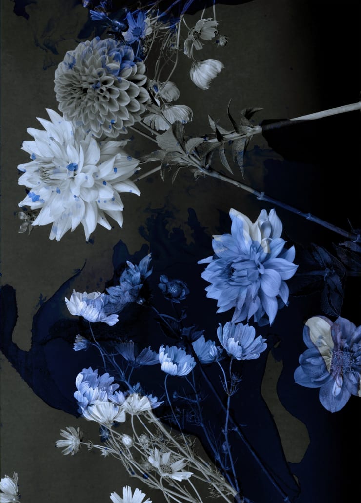 TASHA OSTRANDER, Night Bluem #31, 2022