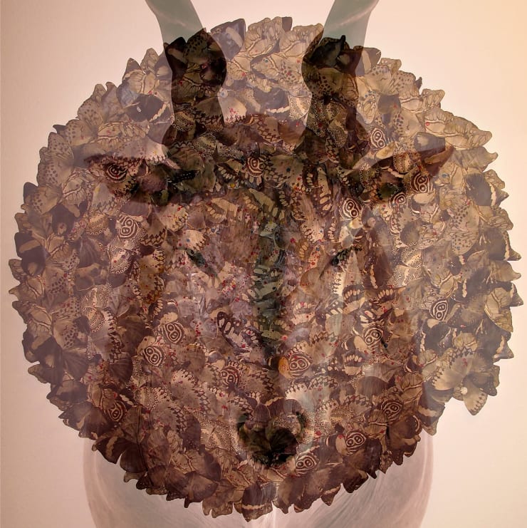 TASHA OSTRANDER, Portrait of an Animal, 2013