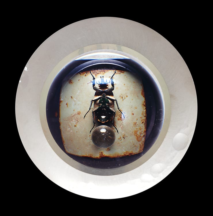 TASHA OSTRANDER, Chorus 7 , 1994