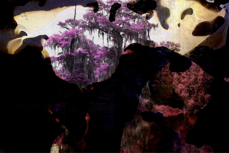 TASHA OSTRANDER, Chemical Spirit XXII, 2019