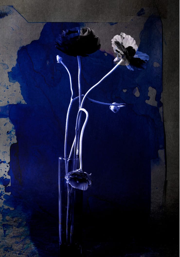 TASHA OSTRANDER, Night Bluem V , 2019