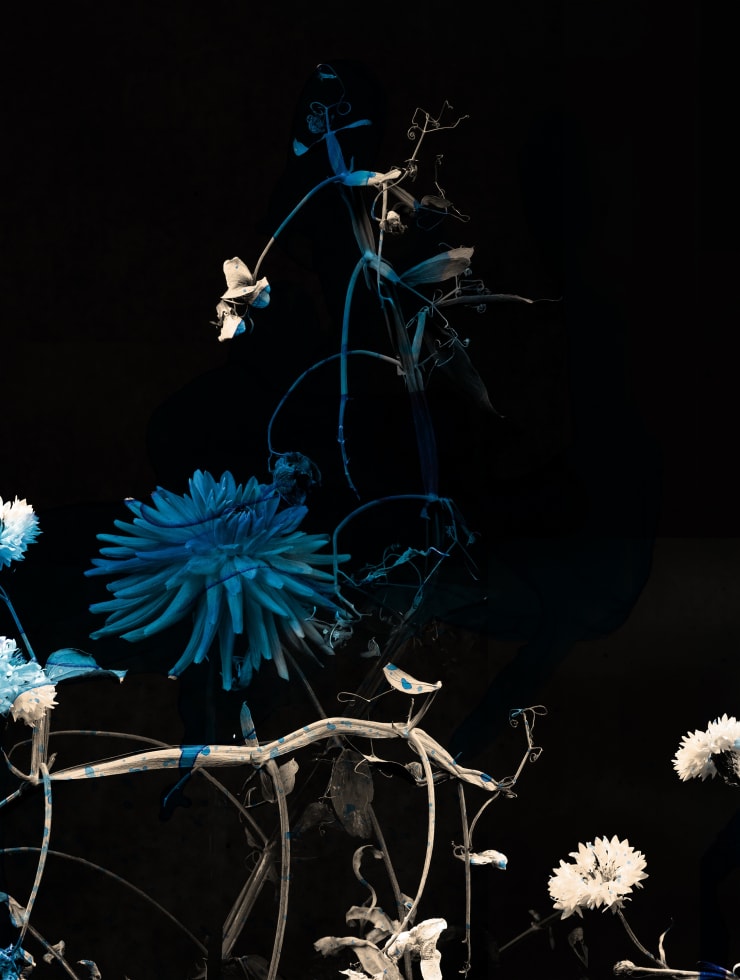 TASHA OSTRANDER, Night Bluem #29, 2022