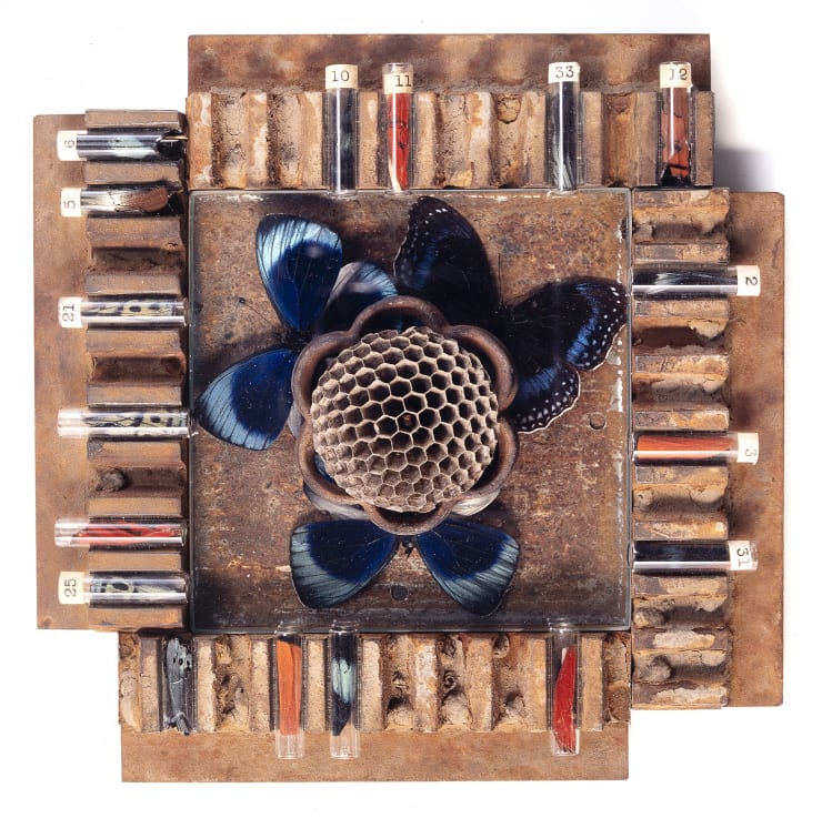 TASHA OSTRANDER, Pinwheel Looking Glass, 1995