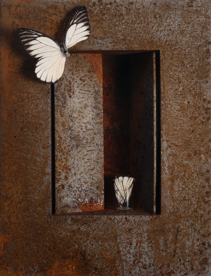 TASHA OSTRANDER, Pinwheel Looking Glass 5, 1995