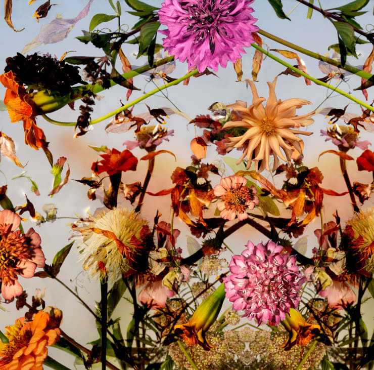 TASHA OSTRANDER, Debris II, 2021