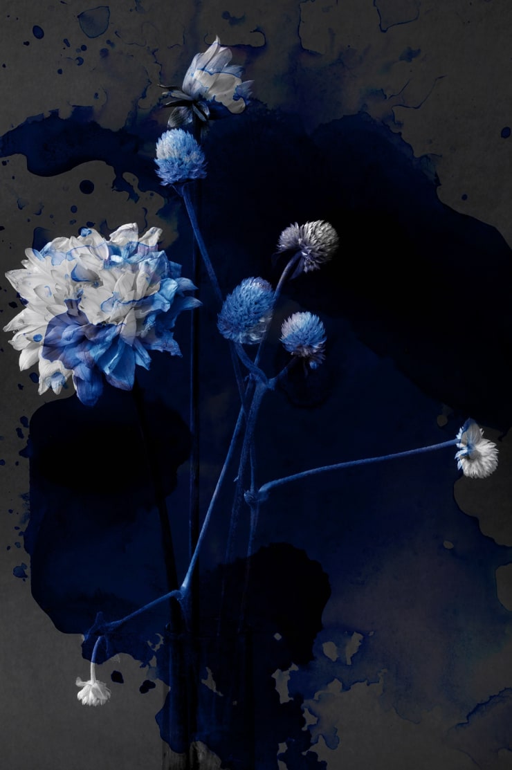 TASHA OSTRANDER, Night Bluem VII, 2019