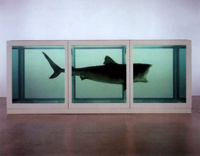 Damien Hirst The Physical Impossibility of Death in the Mind of Someone Living, 1991 Glass, painted steel, silicone, monofilament, shark and formaldehyde solution 85.5 x 213.4 x 70.9 in cc: dou_ble_you