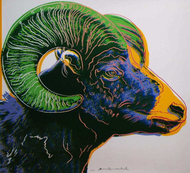 Andy Warhol Bighorn Ram-Endangered Species F&S ll.302, 1983 Screenprint on Lenox Museum Board 38h x 38w inches Edition of 150 For sale at VFA