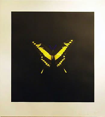 Damien Hirst The Souls on Jacob’s Ladder Take Their Flight (Small Yellow), 2007 Hand-inked photogravure on 400 gsm Velin D’Arches 47 X 42.7 in. Edition of 72